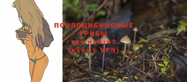 мет Зеленодольск