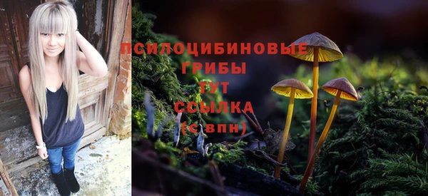 мет Зеленодольск